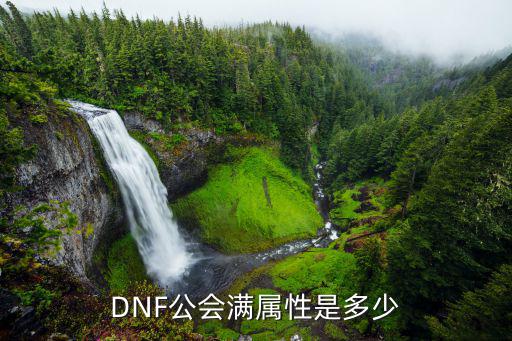 DNF公会满属性是多少