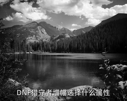 DNF猎守者增幅选择什么属性