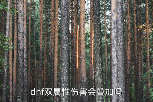 dnf双属性有加什么，dnf双属性伤害会叠加吗