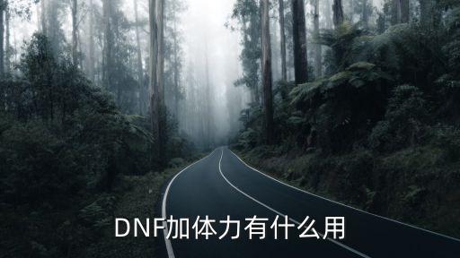 DNF加体力有什么用