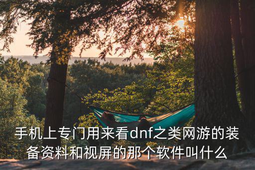 手机上专门用来看dnf之类网游的装备资料和视屏的那个软件叫什么