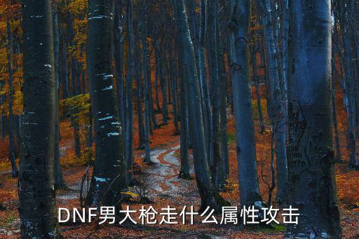 dnf大枪什么属性攻击，大枪要弄什么属性比较好