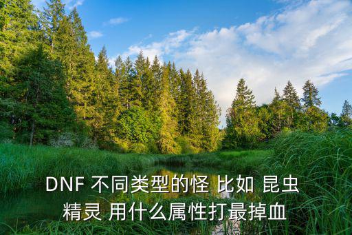 DNF 不同类型的怪 比如 昆虫 精灵 用什么属性打最掉血