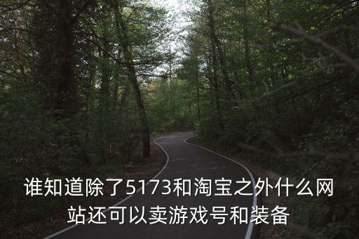 谁知道除了5173和淘宝之外什么网站还可以卖游戏号和装备