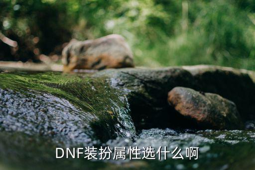 dnf各装扮什么属性，DNF装扮属性选择