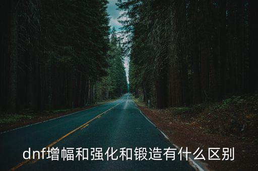 dnf锻造什么属性，dnf增幅和强化和锻造有什么区别