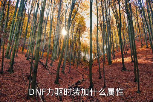 DNF力驱时装加什么属性