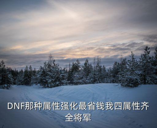 DNF那种属性强化最省钱我四属性齐全将军