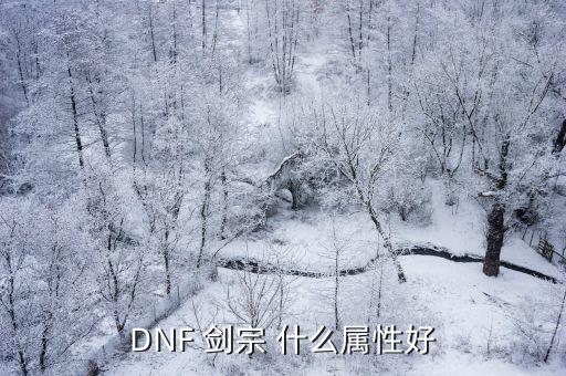 DNF 剑宗 什么属性好