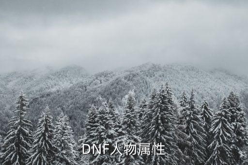 DNF人物属性