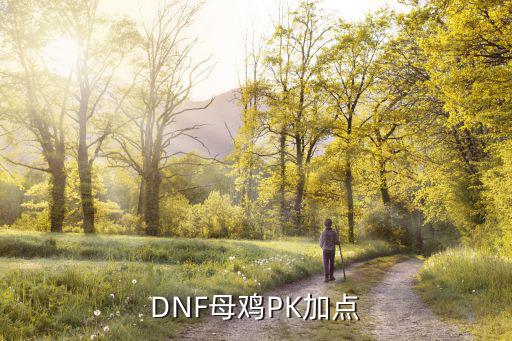 dnf母鸡吃什么属性，DNF母鸡PK加点