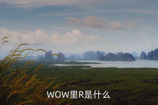 WOW里R是什么