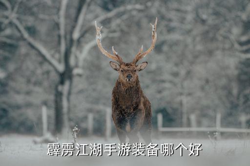 霹雳江湖手游装备哪个好