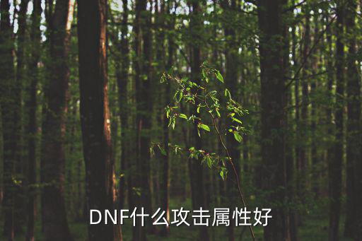 DNF什么攻击属性好