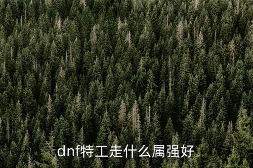 dnf特工走什么属强好