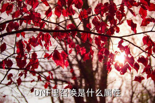 DNF里召唤是什么属性