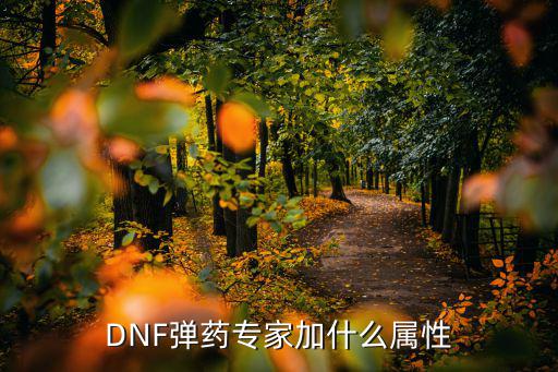 DNF弹药专家加什么属性