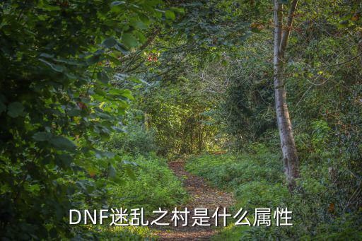 dnf迷离爱丽丝什么属性，DNF迷乱之村是什么属性