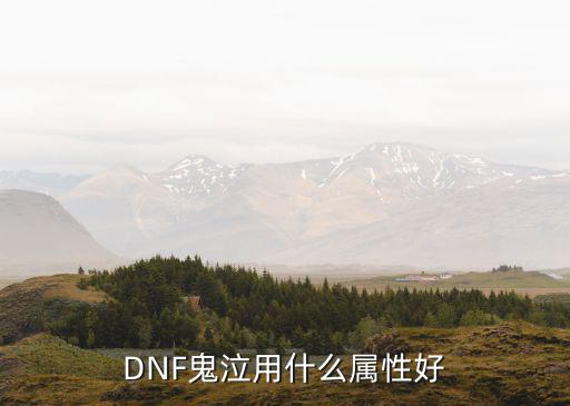 DNF鬼泣用什么属性好