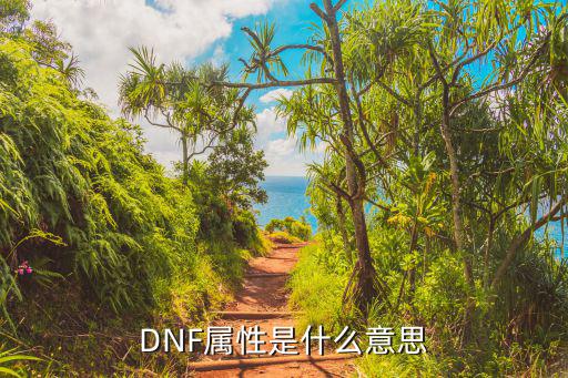 DNF属性是什么意思