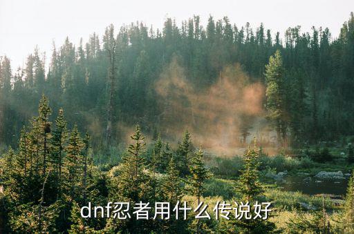 dnf忍者用什么传说好