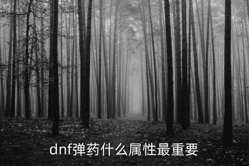 dnf弹药什么属性最重要