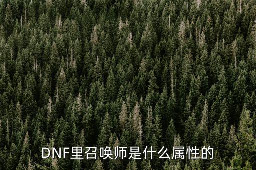 DNF里召唤师是什么属性的