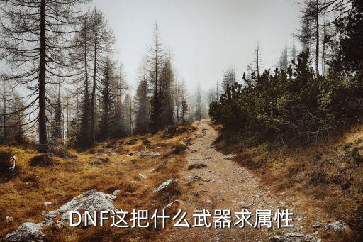 DNF这把什么武器求属性