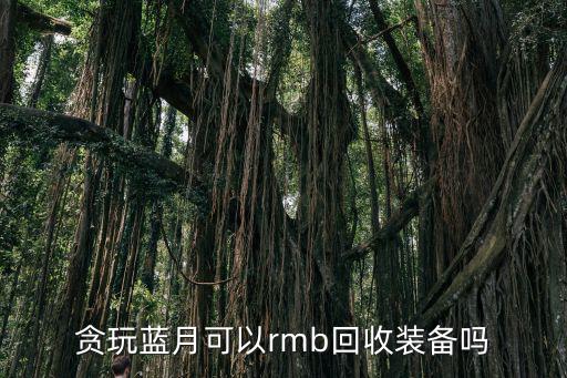 贪玩蓝月可以rmb回收装备吗