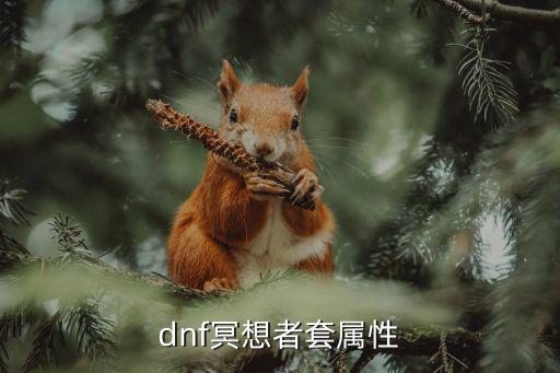 dnf冥想套什么属性，dnf冥想者套属性