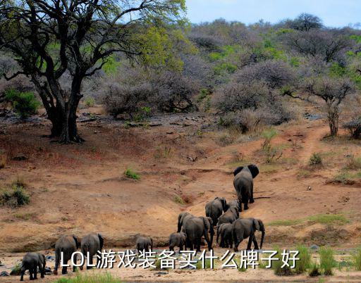 LOL游戏装备买什么牌子好