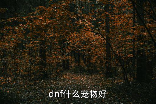 dnf什么宠物好