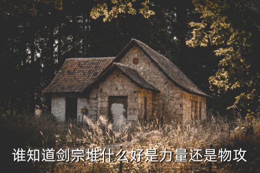 谁知道剑宗堆什么好是力量还是物攻