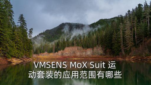 VMSENS MoX Suit 运动套装的应用范围有哪些