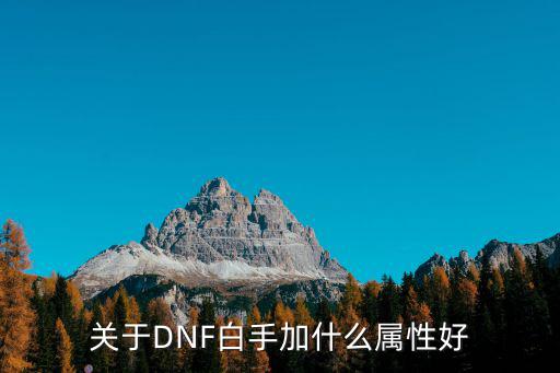 关于DNF白手加什么属性好