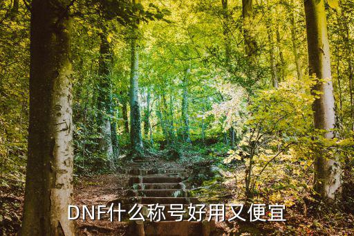 DNF什么称号好用又便宜