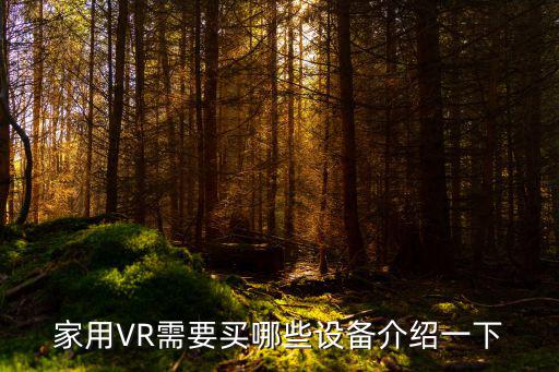 家用VR需要买哪些设备介绍一下