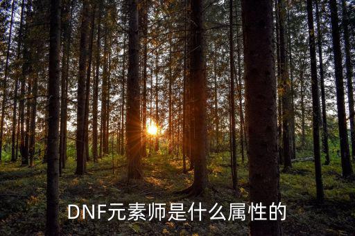 DNF元素师是什么属性的