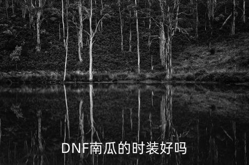 DNF南瓜的时装好吗