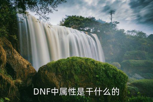 dnf属性强度是什么，DNF中属性是干什么的