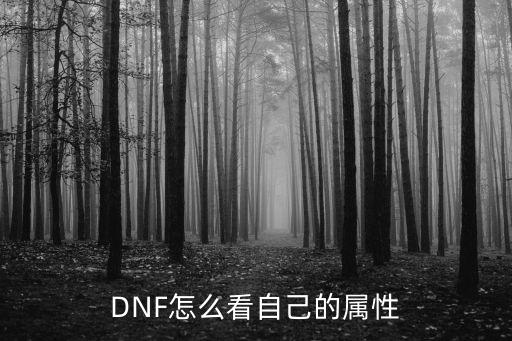 DNF怎么看自己的属性