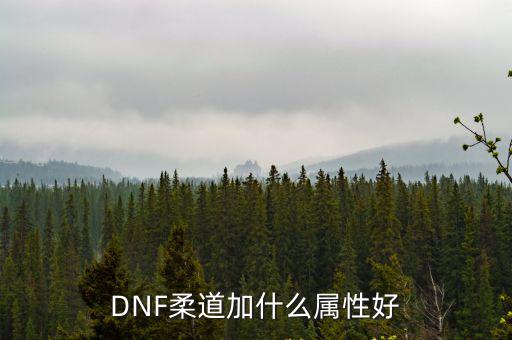 DNF柔道加什么属性好