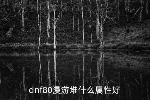 dnf80漫游堆什么属性好