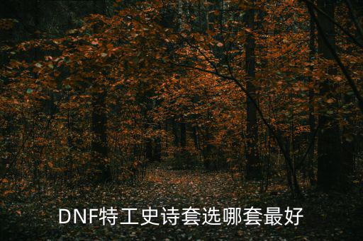 DNF特工史诗套选哪套最好