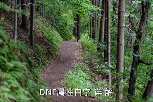 DNF属性白字 详 解