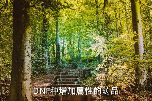 dnf什么药强化属性，DNF种增加属性的药品