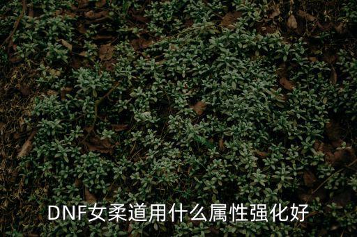 DNF女柔道用什么属性强化好