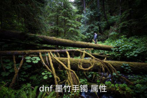 dnf 墨竹手镯 属性