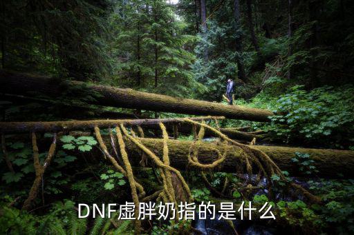 DNF虚胖奶指的是什么