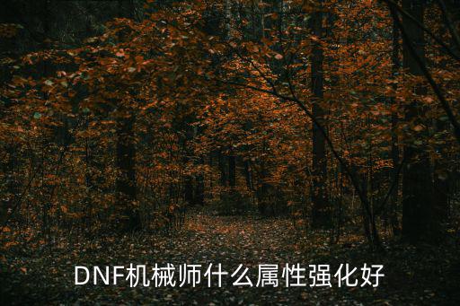 DNF机械师什么属性强化好